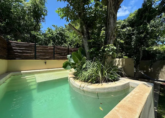 Private Fresh Pool, Huge Garden, Xcalacoco * Playa del Carmen