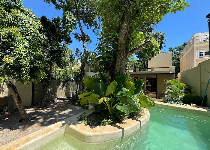 Private Fresh Pool, Huge Garden, Xcalacoco Holiday home *