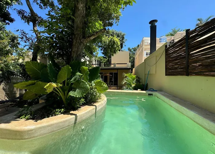 Private Fresh Pool, Huge Garden, Xcalacoco Holiday home *